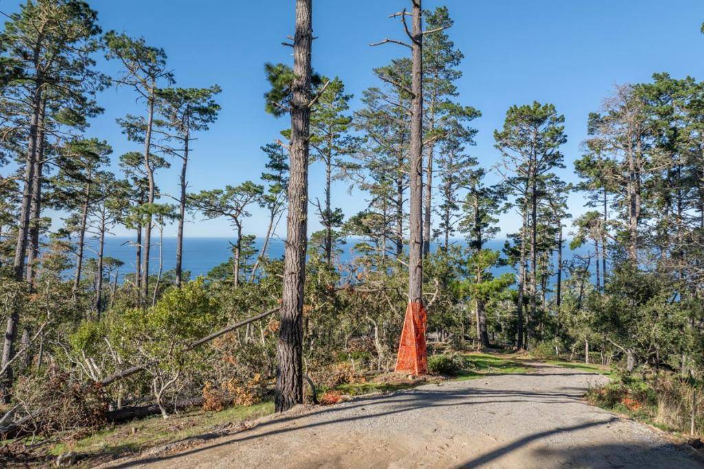 Carmel, CA 93923,90 Crest Road