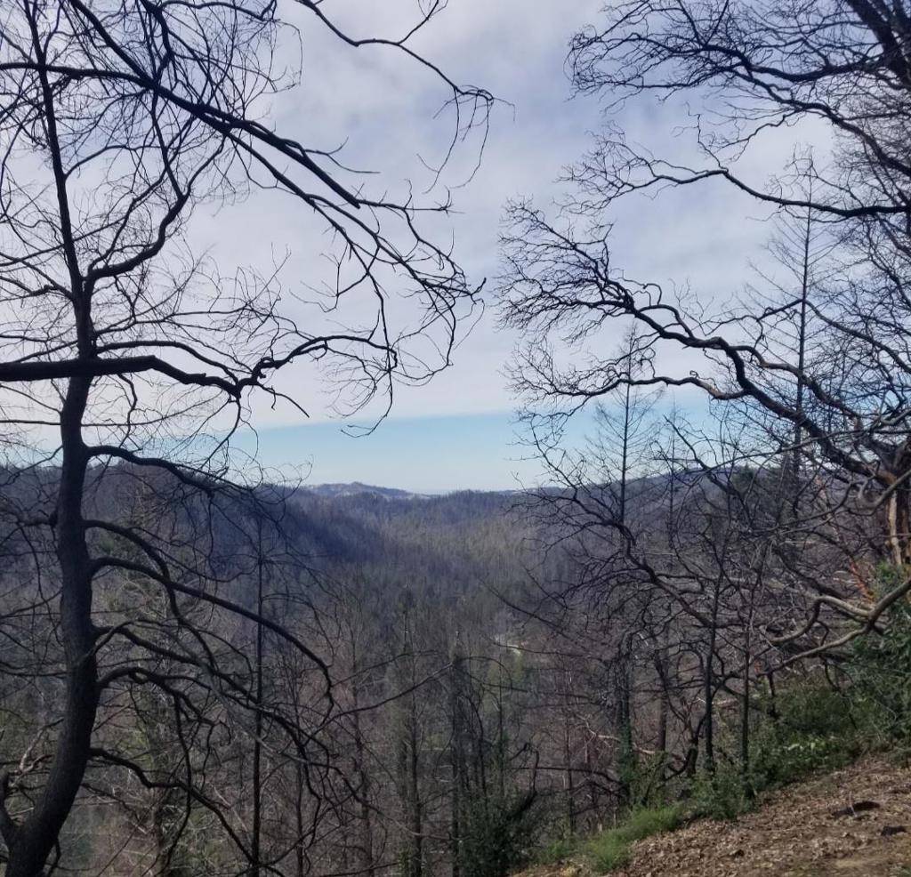 Boulder Creek, CA 95006,20604 Little Basin RD