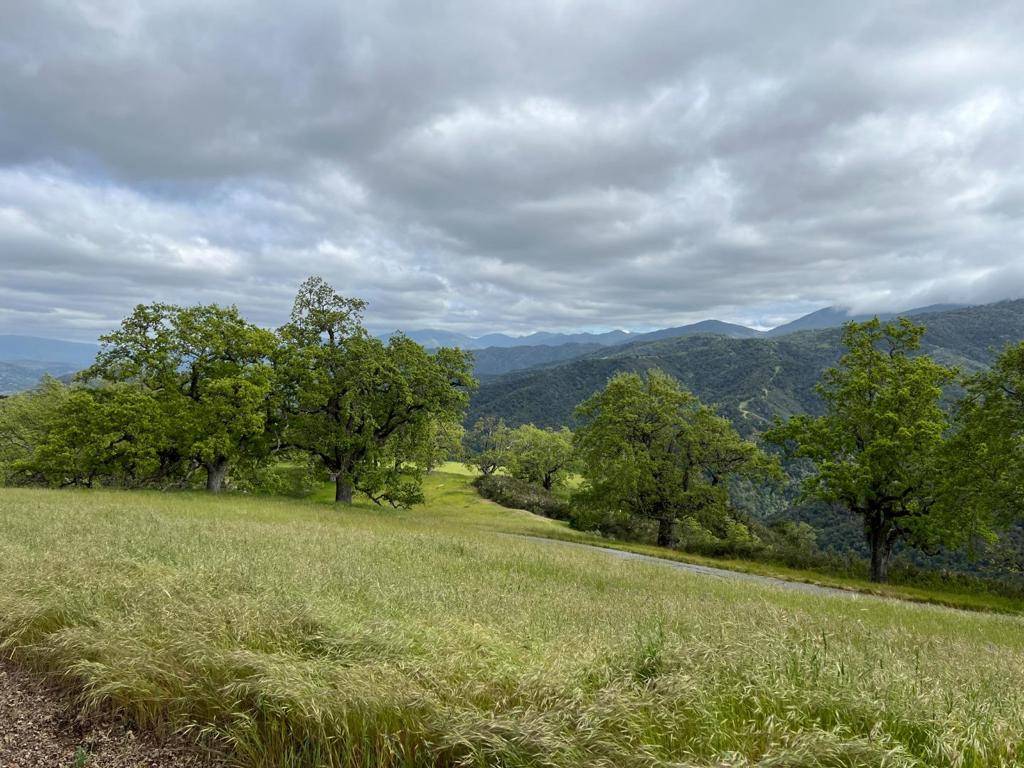 Carmel Valley, CA 93923,13 Long Ridge TRL