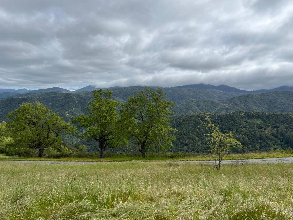 Carmel Valley, CA 93923,13 Long Ridge TRL