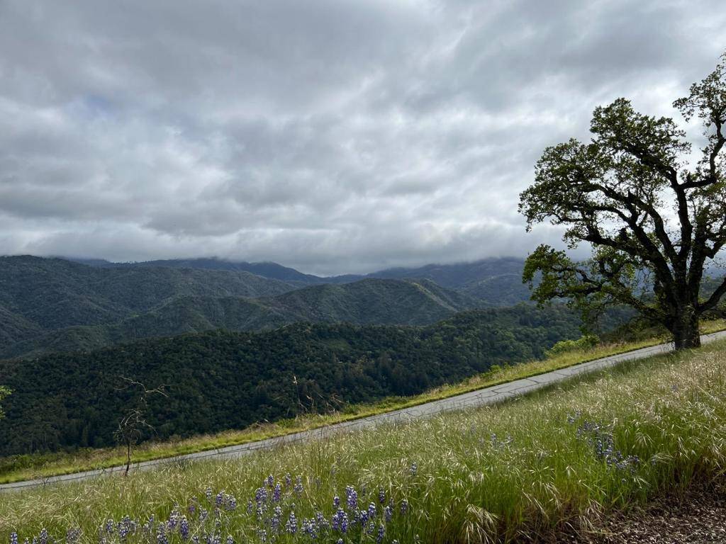 Carmel Valley, CA 93923,13 Long Ridge TRL