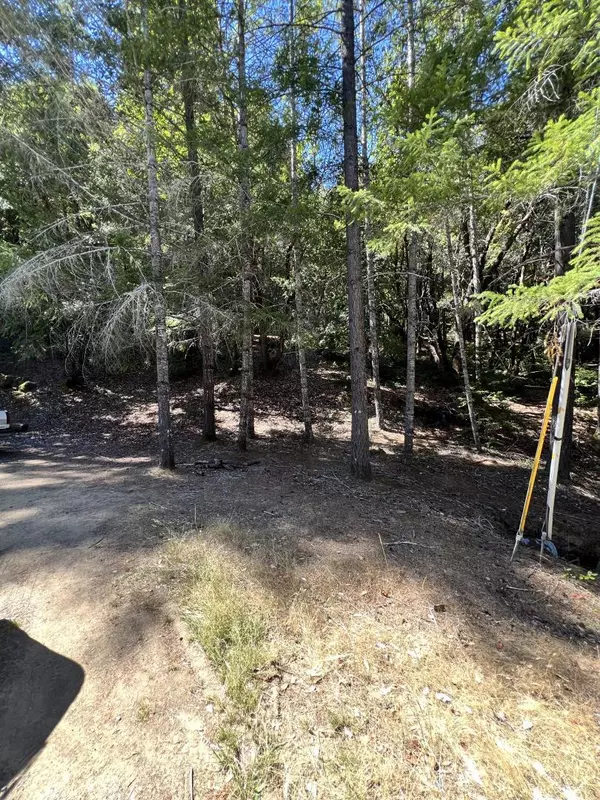 Willits, CA 95490,24858 Clover RD