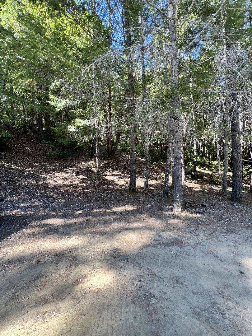 Willits, CA 95490,24858 Clover RD