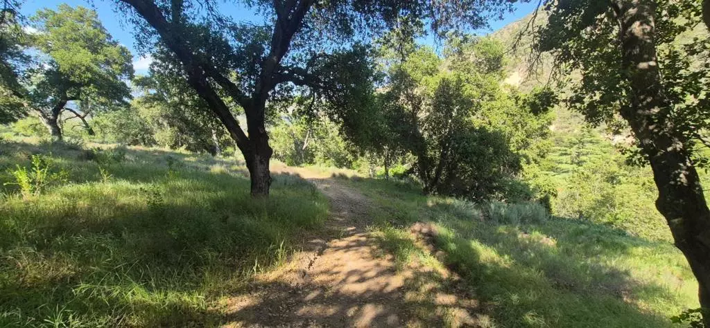 Greenfield, CA 93927,30010 Olivia DR