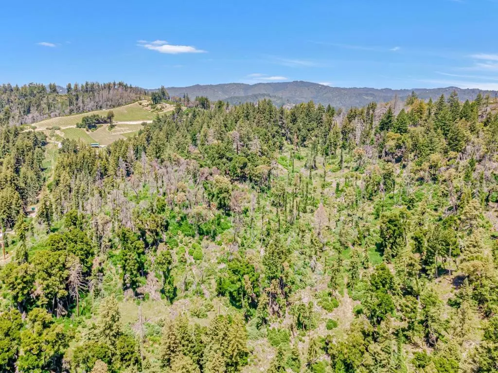 Boulder Creek, CA 95006,0 Memory