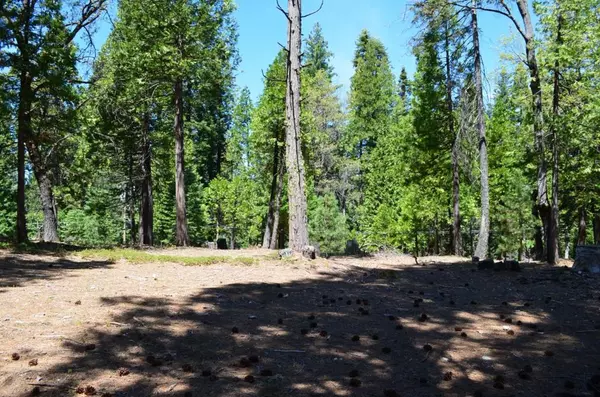 Dorrington, CA 95223,3112 Apache RD