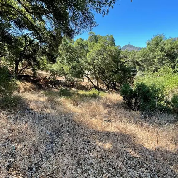 Morgan Hill, CA 95037,15580 Armsby LN