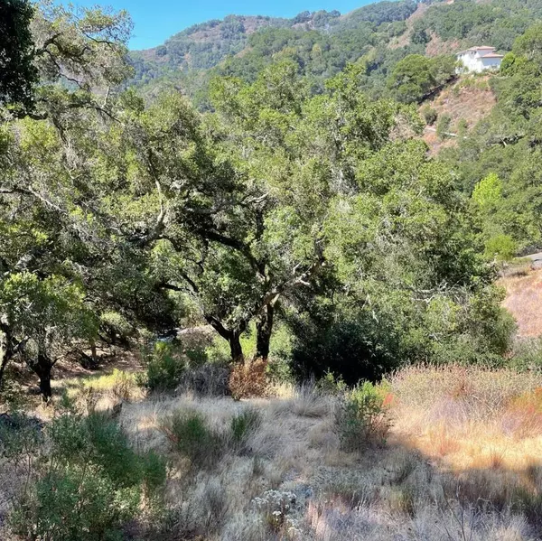 Morgan Hill, CA 95037,15580 Armsby LN