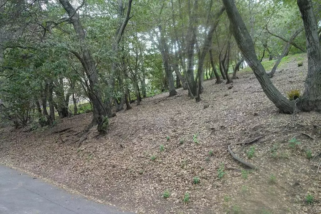 Los Gatos, CA 95032,0 Greenridge TER