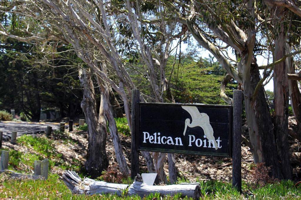 Watsonville, CA 95076,66 Pelican