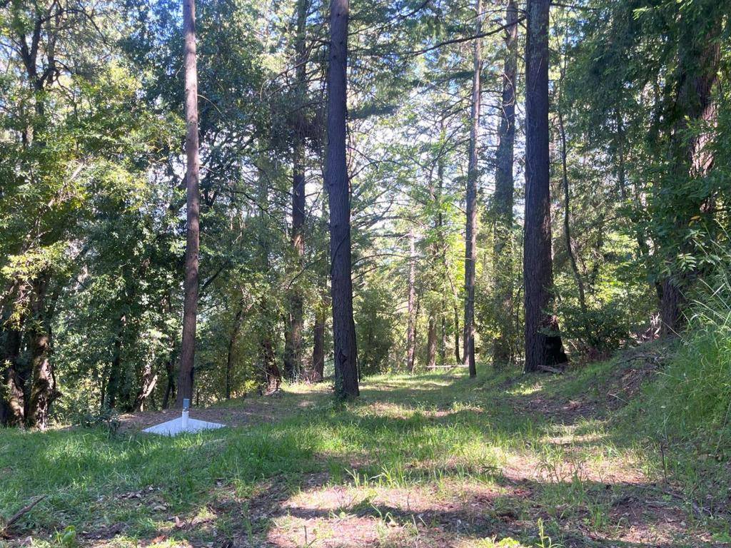 Los Gatos, CA 95033,19179 Skyline BLVD