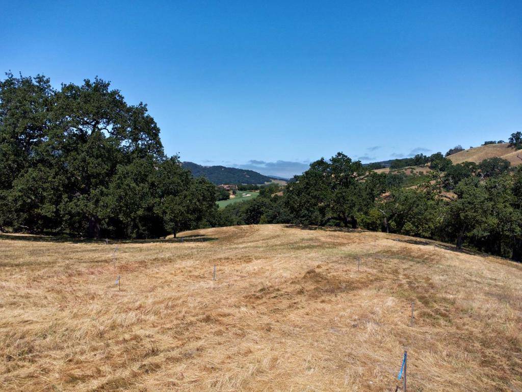 Carmel, CA 93923,23 E Pronghorn RUN