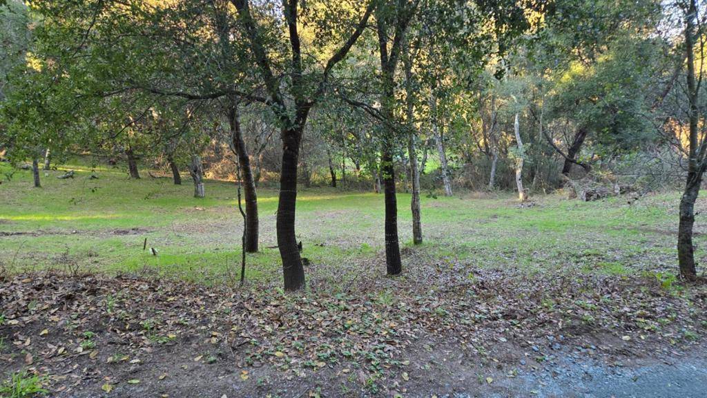 Watsonville, CA 95076,245 Gillette RD