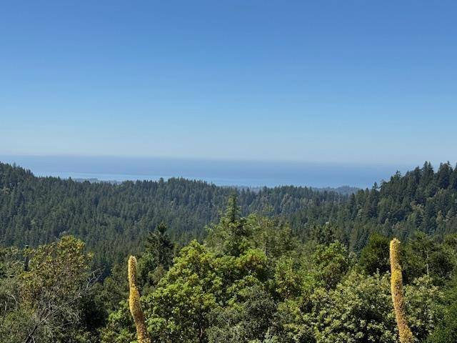 Aptos, CA 95003,132 Pax Place CT