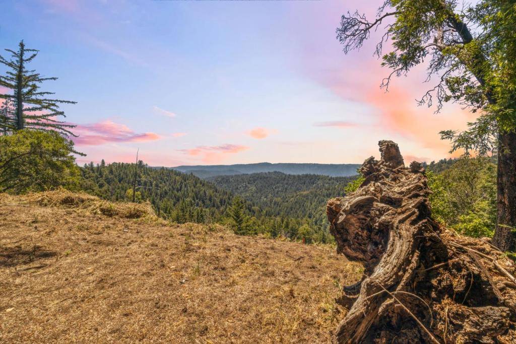 Boulder Creek, CA 95006,1 Wedwood Widge Way