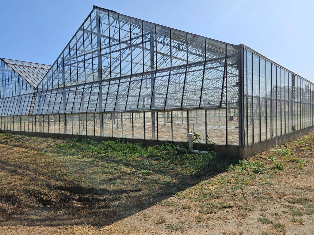 Watsonville, CA 95076,1203 Buena Vista DR