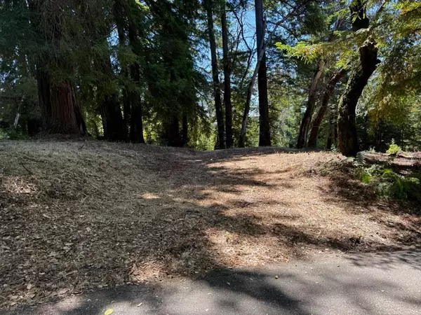 Los Gatos, CA 95033,0 Debbie