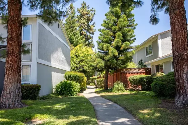 Fremont, CA 94539,40189 Santa Teresa