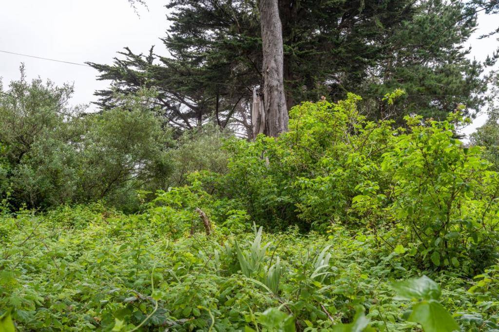 Moss Beach, CA 94038,0 Oak AVE