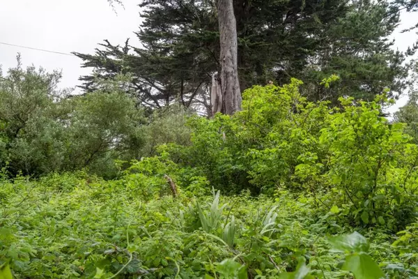 Moss Beach, CA 94038,0 Oak AVE