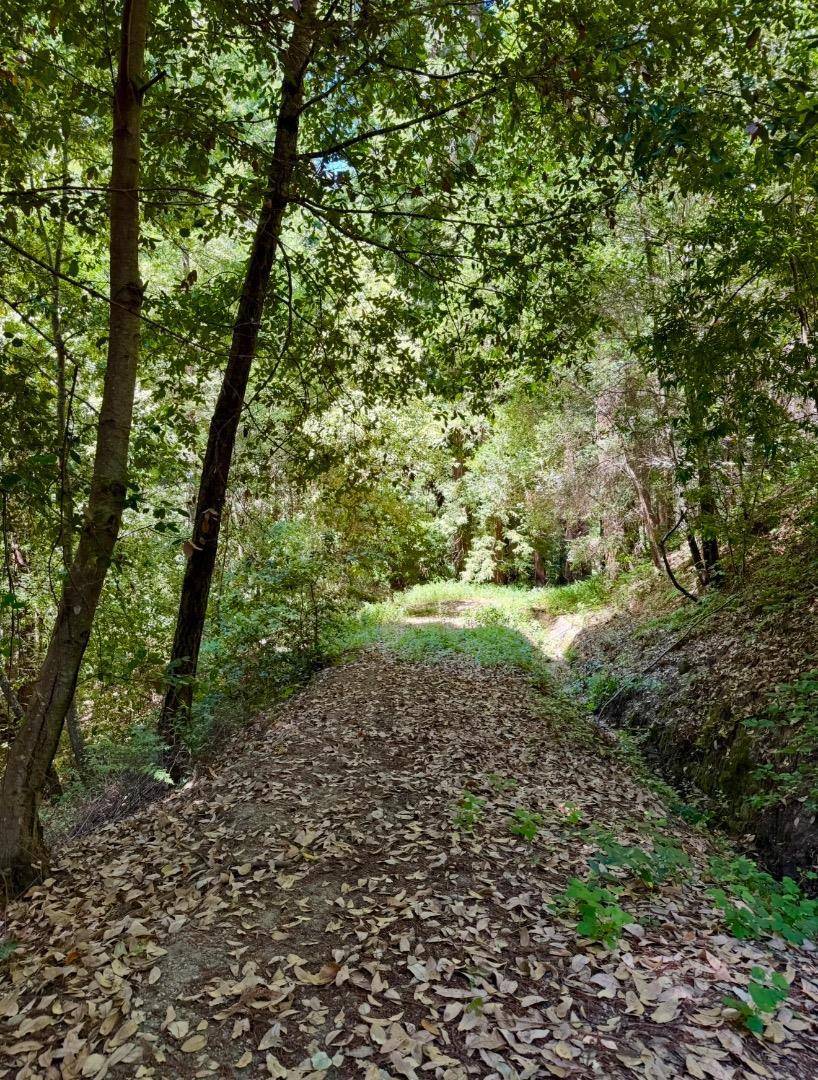 Boulder Creek, CA 95006,0 Circle WAY