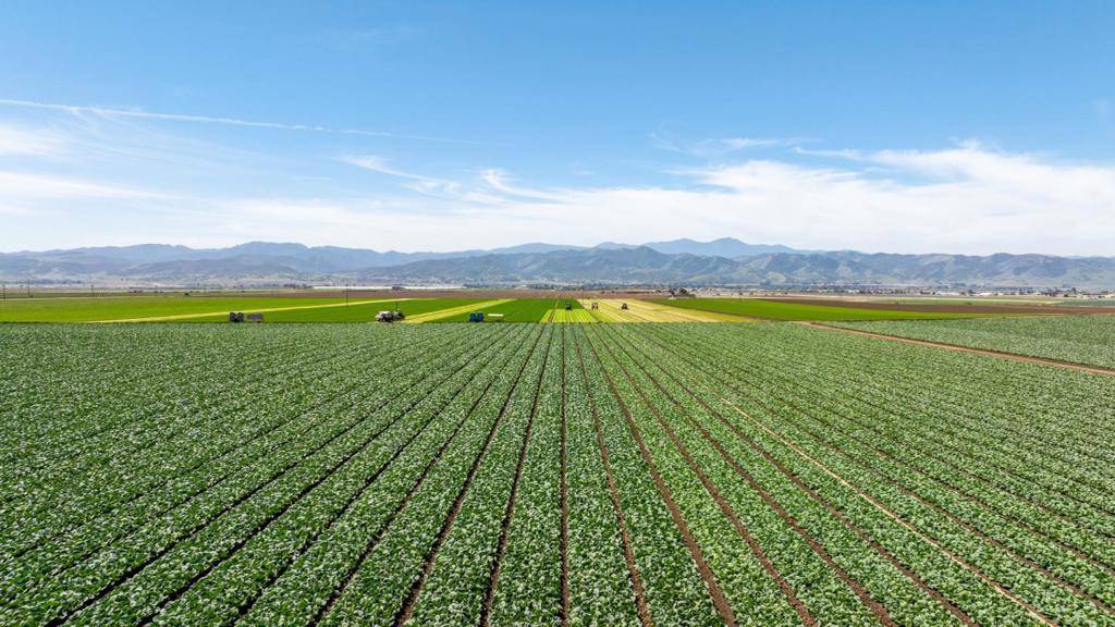 King City, CA 93930,48453 Lonoak RD