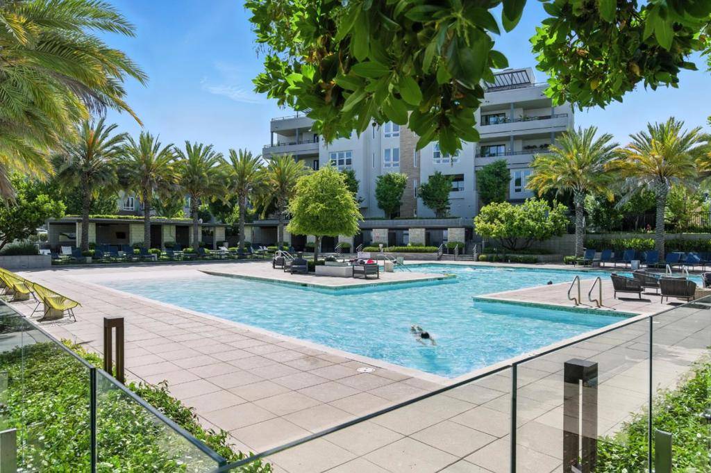 Fremont, CA 94539,45128 Warm Springs BLVD #456