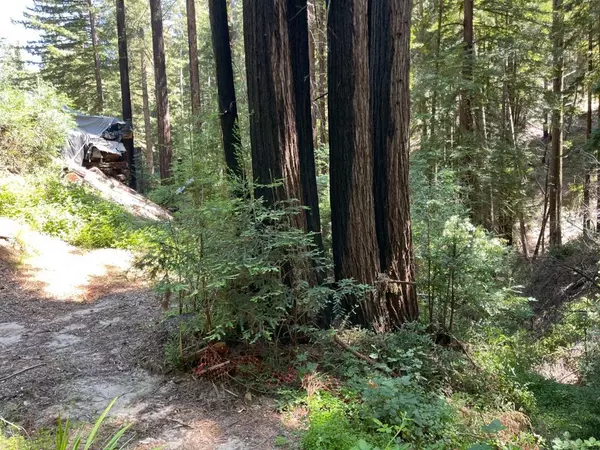 Boulder Creek, CA 95006,506 Sunset RD