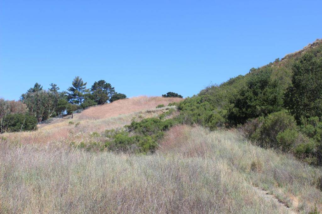 Saratoga, CA 95070,0 Mt Eden RD