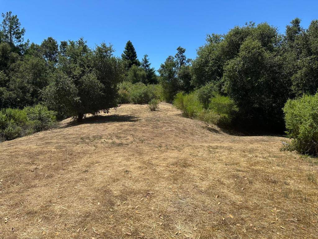 Los Gatos, CA 95033,0 Main BLVD