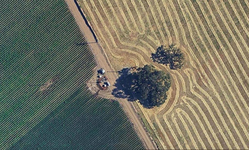 Gilroy, CA 95020,0 Crews RD