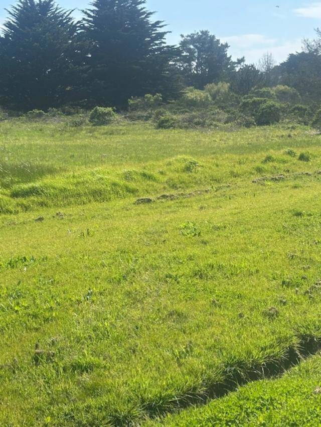 100 Park, Half Moon Bay, CA 94019