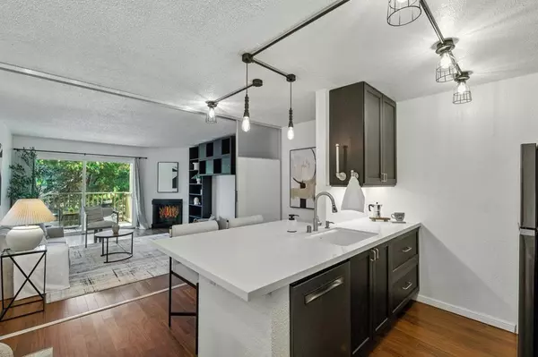 Daly City, CA 94015,381 Half Moon LN #213