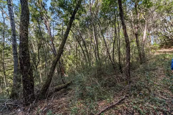 Felton, CA 95018,Madrone AVE