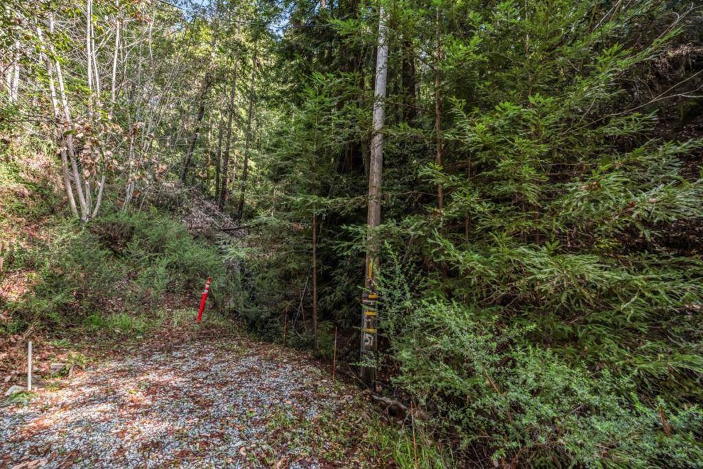 Antler ST, Felton, CA 95018