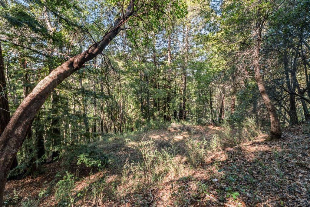 Volver AVE, Felton, CA 95018
