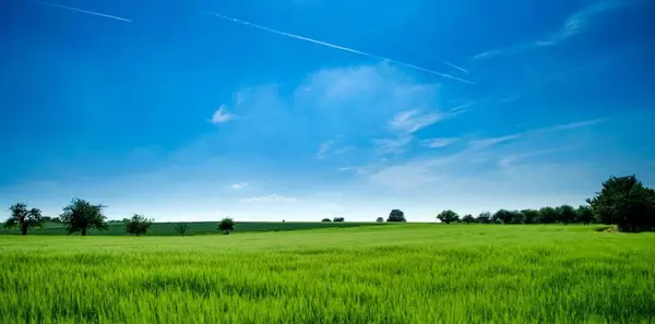 10868 Dougherty AVE, Morgan Hill, CA 95037