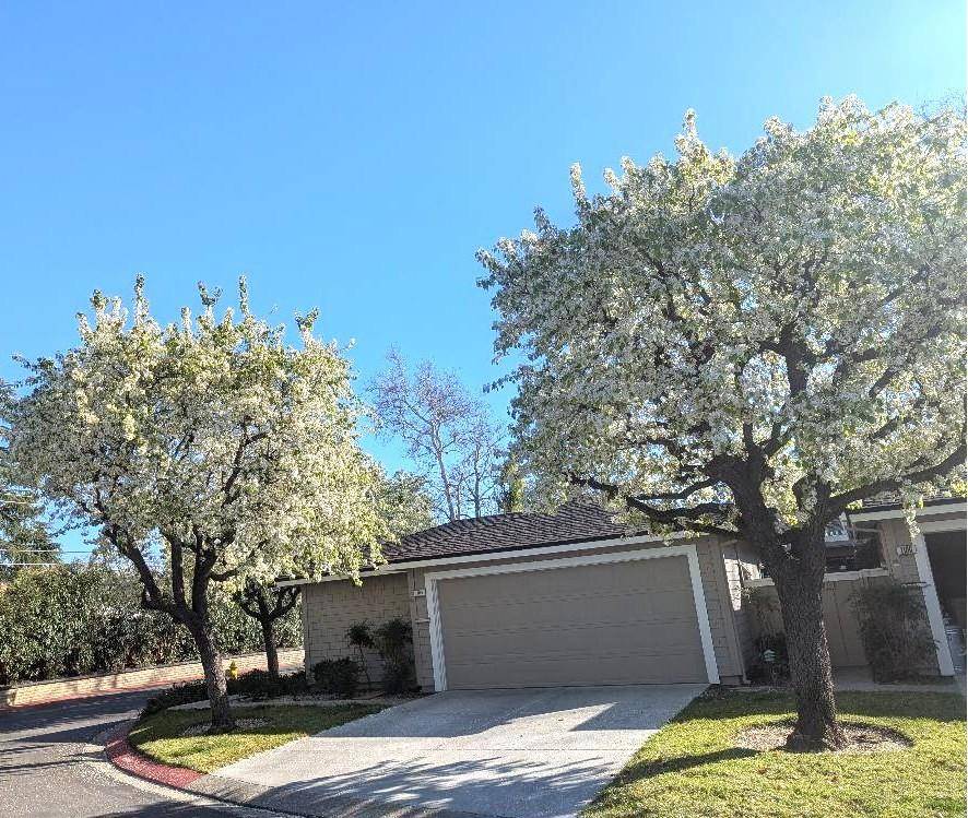 San Jose, CA 95120,1104 Holly Oak CIR