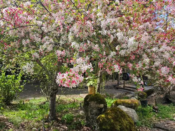 Aptos, CA 95003,5601 Freedom BLVD