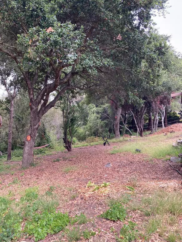 Santa Cruz, CA 95060,514 Meder ST