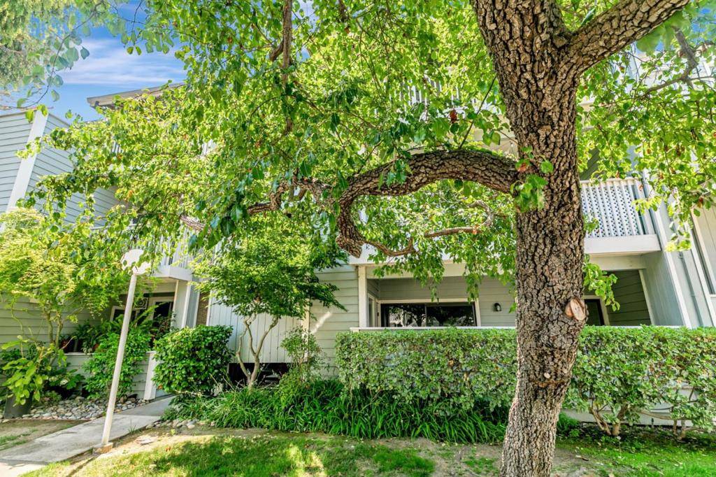 Fremont, CA 94536,3550 Buttonwood TER #113