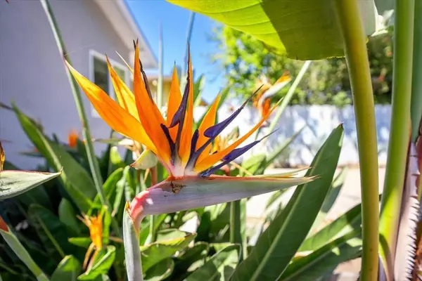 Santa Cruz, CA 95062,140 Suburbia AVE