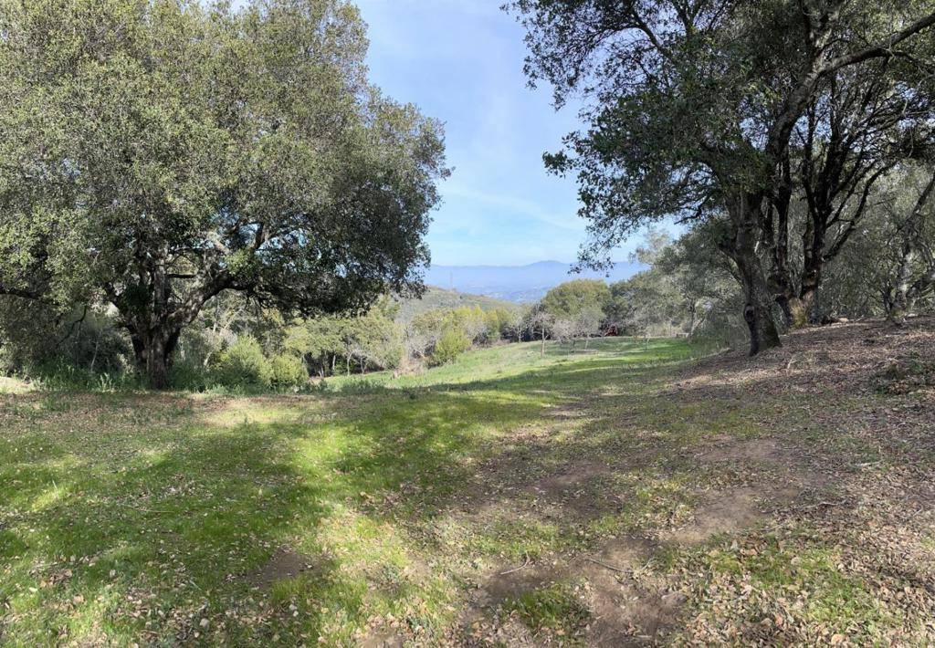 Los Gatos, CA 95030,0 Montevina RD