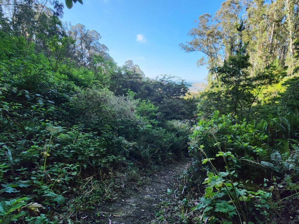 Pacifica, CA 94044,0 Adobe DR