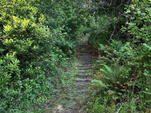 Pacifica, CA 94044,0 Adobe DR