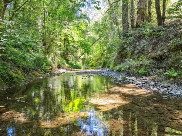 Boulder Creek, CA 95006,200 Shady LN