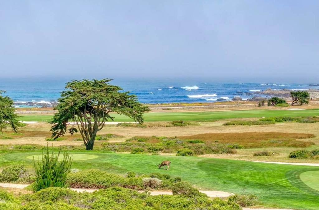 Pebble Beach, CA 93953,1051 Marcheta LN