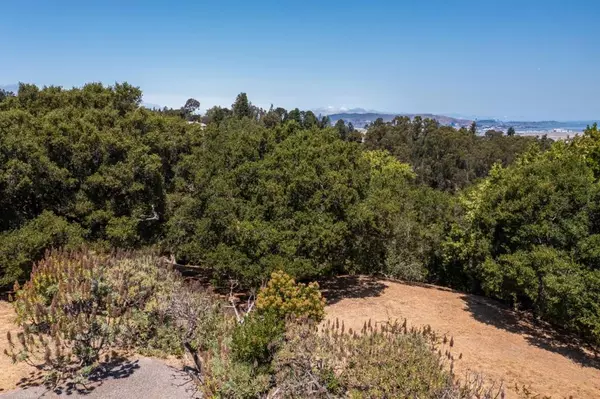 Hillsborough, CA 94010,0 Eugenia