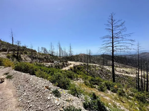 Davenport, CA 95017,0 S Pine Mountain Rd.