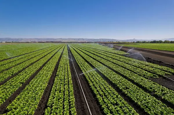 Gilroy, CA 95020,0 Highway 25